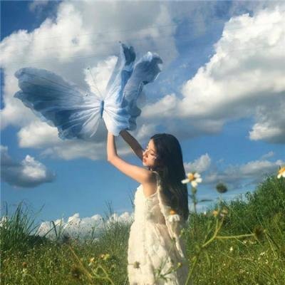 天才龙宝寻亲记